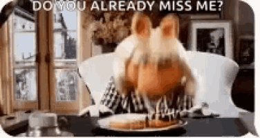 a pig is sitting at a table with a plate of food and a speech bubble that says do you already miss me
