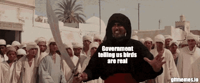 a man holding a sword with the words government telling us birds are real on the bottom