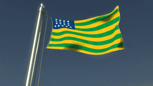 a yellow and green flag with blue stars on it is waving in the wind