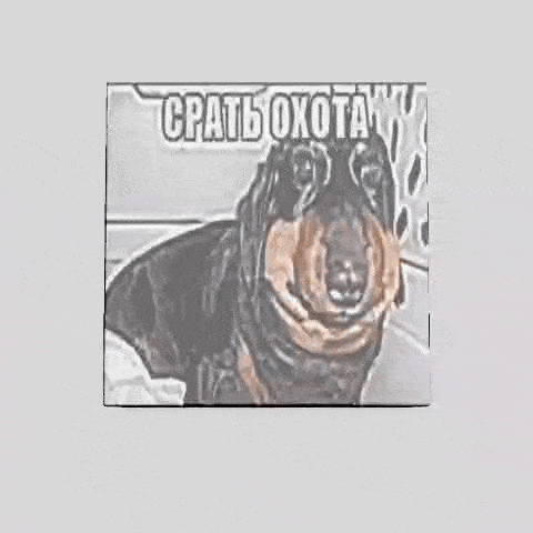 a cube with a picture of a dachshund on it and a reflection of the dog .
