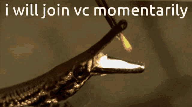 Vc Join Vc GIF - Vc Join Vc I Will Join Vc GIFs