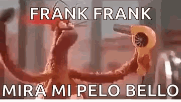 frank frank mira mi pelo bello is holding a hair dryer in his hands .