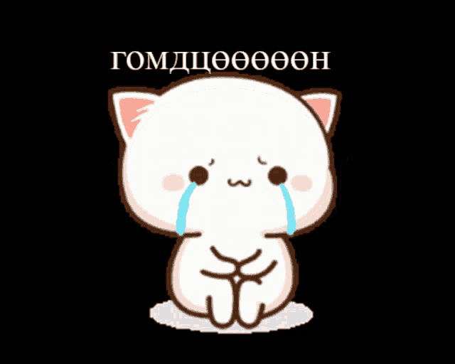 a cartoon cat is crying with a tear coming out of its eyes