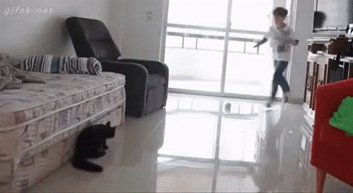Funny Animals Save GIF - Funny Animals Save Soccer GIFs