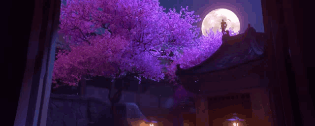 a man is standing on the roof of a building in front of a cherry blossom tree at night .