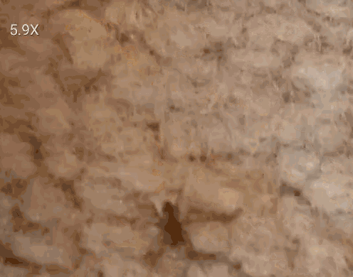 a close up of a spider on a white surface with a pink object in the background .