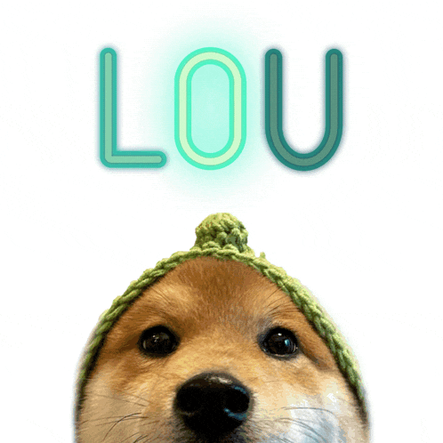 a dog wearing a green hat is looking up at a neon sign that says lou