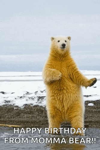 a polar bear standing on its hind legs with the words happy birthday from momma bear on the bottom