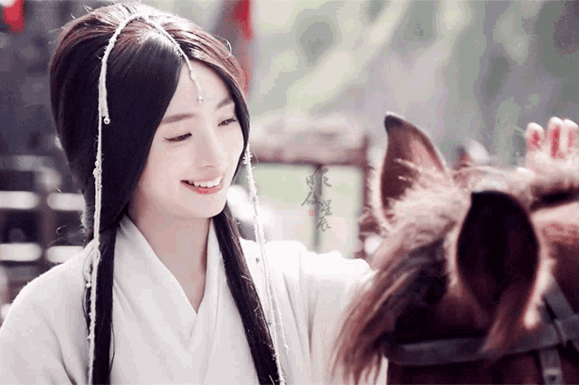 a woman petting a horse 's ear with chinese writing on the ear