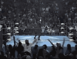 a man in a mask is standing in a wrestling ring holding a hammer .