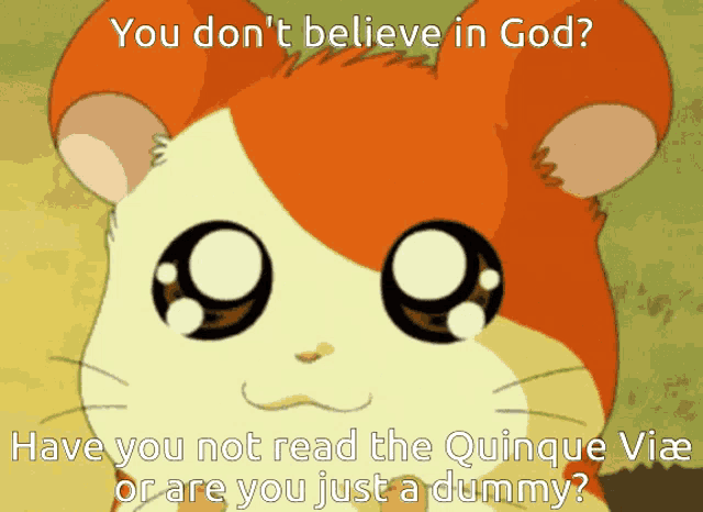 a picture of a hamster with the words " you don 't believe in god " on it