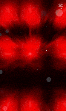 a red background with a butterfly and the word dasin on it