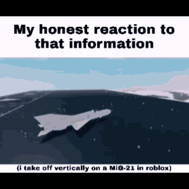 a fighter jet is flying over a body of water with the words `` my honest reaction to that information '' .