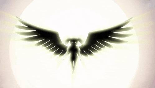 a silhouette of a person with wings is against a white background