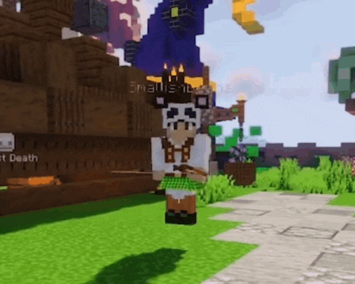 a minecraft character with a skull on his head is standing on a grassy field .