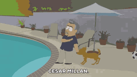 a cartoon of a man standing next to a pool with a dog and the words cesar millan below him