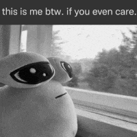 a black and white photo of a stuffed animal looking out a window with the caption " this is me btw if you even care "