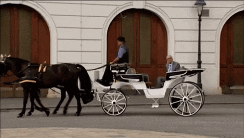 a horse drawn carriage is pulled by a man