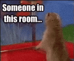 a squirrel is standing in front of a mirror with the words someone in this room