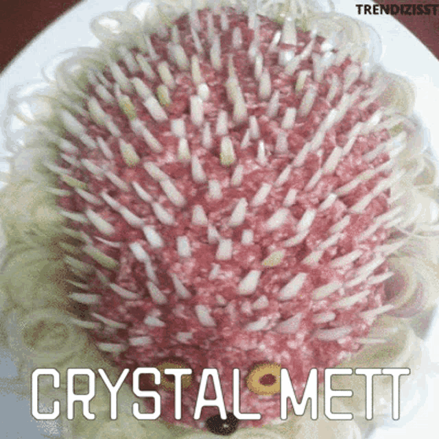 a plate of food that looks like a hedgehog with crystal mett written on the bottom