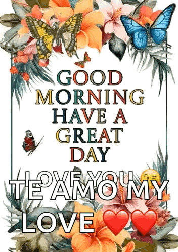 a good morning have a great day love you te amo my love