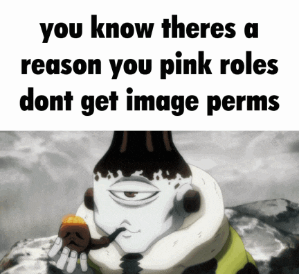 a meme that says you know there is a reason you pink roles dont get image perms