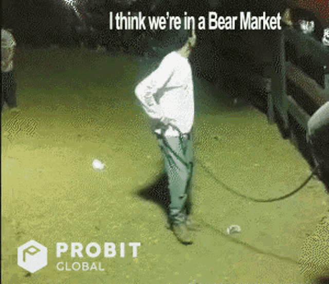 Nope Bear GIF - Nope Bear Bitcoin GIFs