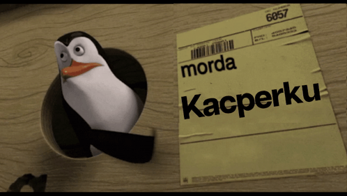 Kacperek Morda Kacper GIF - Kacperek Morda Kacper GIFs