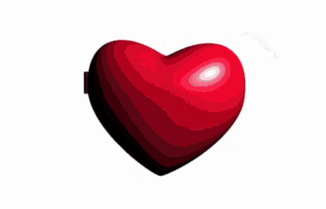 a heart shaped item with a picture of a girl and the word nirvana on it