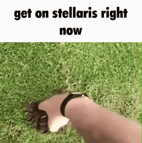 Stellaris Hop On GIF - Stellaris Hop On Mole GIFs