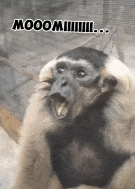 a picture of a monkey with its mouth open and the words mooom written below it