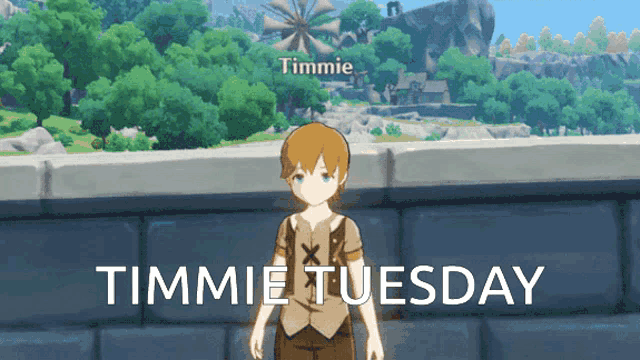 Timmie Timmietuesday GIF - Timmie Timmietuesday Tuesday GIFs