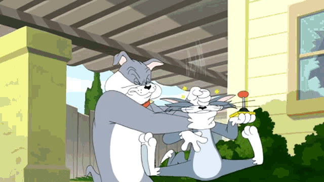 a cartoon of a cat and a dog playing with each other
