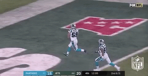 Go Panthers GIF - Go Panthers Gif GIFs