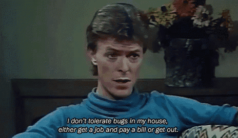 a man is sitting in front of a vase of flowers and saying i don 't tolerate bugs in my house