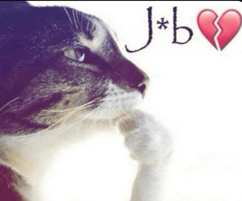 a picture of a cat with a broken heart and the words j * b on it