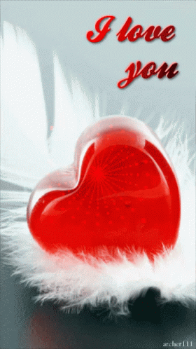 Love Heart GIF - Love Heart Feather GIFs