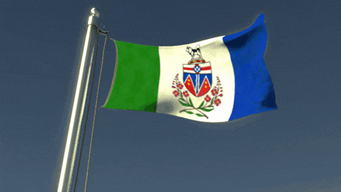 a green white and blue flag with a coat of arms