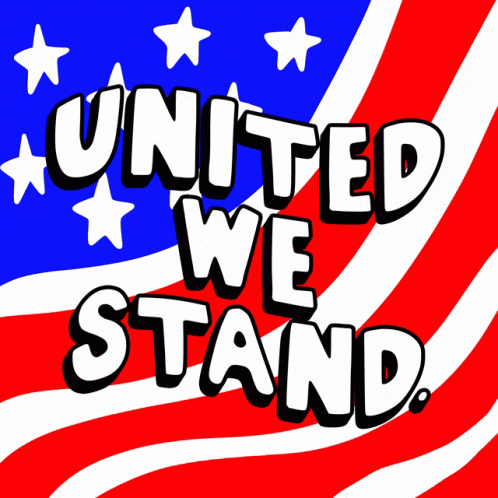 United We Stand American Flag GIF - United We Stand American Flag Never Forget GIFs