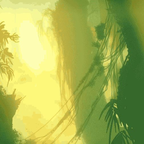 a painting of a jungle with trees and vines