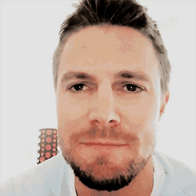 a man with a beard looks at the camera