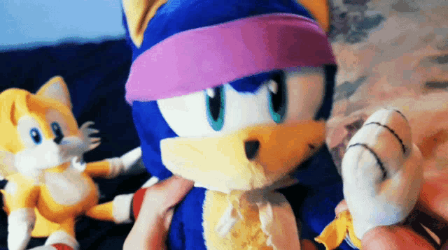 a person is holding a stuffed sonic and tails