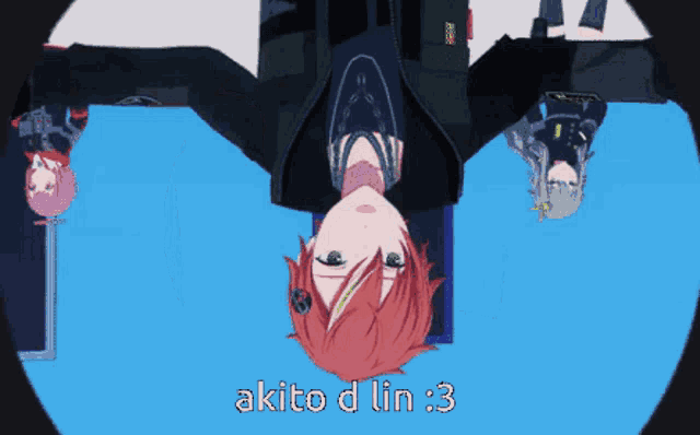 a girl with red hair is upside down and says akito d lin