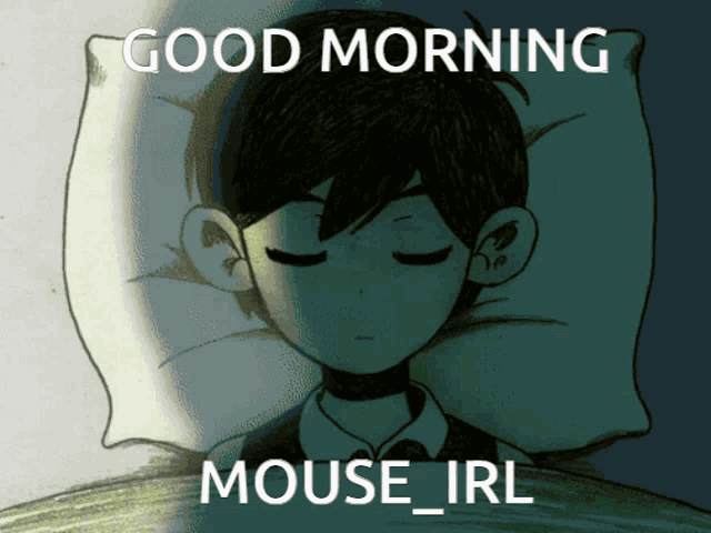 a cartoon of a boy sleeping with the words good morning mouse irl