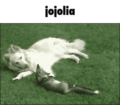 a dog and a cat are laying on the grass .