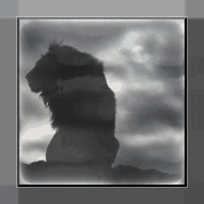 a black and white photo of a lion in the fog