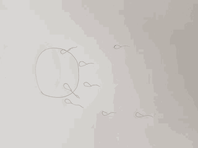 a drawing of a circle and a few worms on a white background