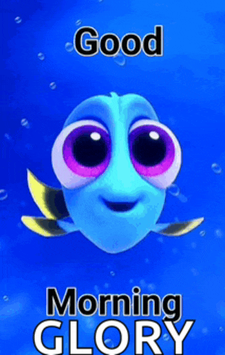 a picture of dory from the movie finding nemo
