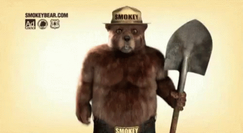 Smokey Only You Can Prevent Wildfires GIF - Smokey Only You Can Prevent Wildfires Smokey Bear GIFs