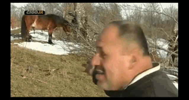 a man is standing next to a horse in a field .